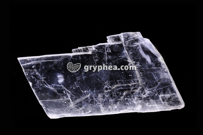 Gypse cristallisé (taille 15 cm) - gryphea.com